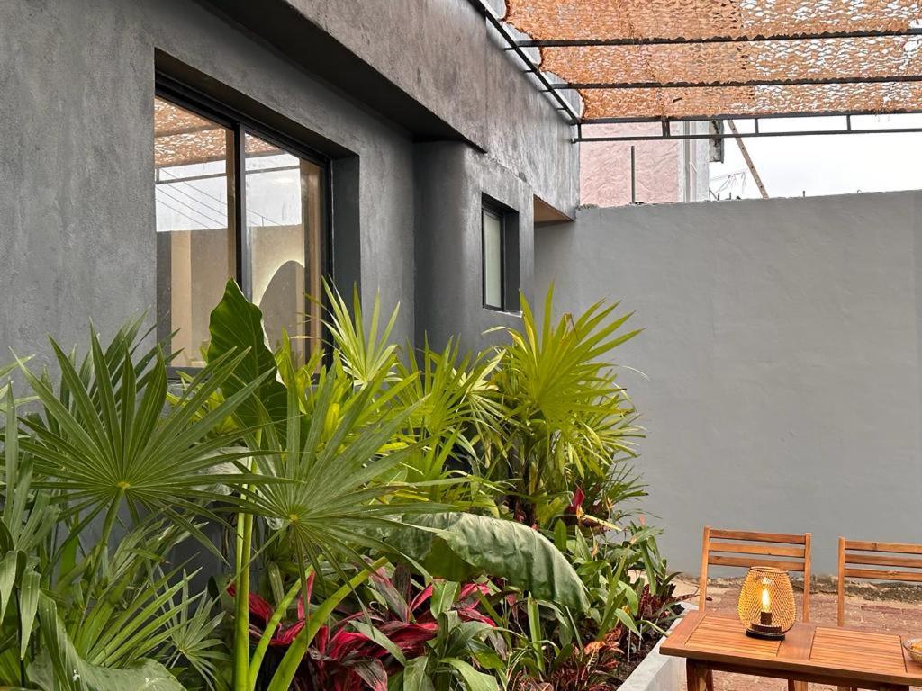Xaman - Boutique Studios