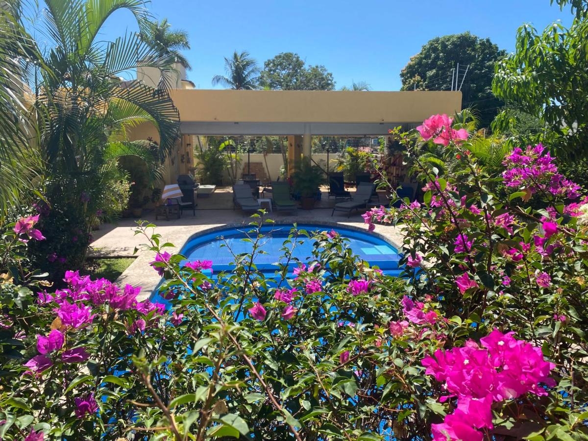 Zandoyo Bed & Breakfast